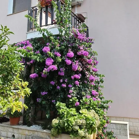 Apartman Sweet Mary * Zadar